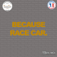 Sticker JDM because race car Sticks-em.fr Couleurs au choix