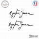 2 Stickers Signature Ayrton Senna