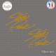 2 Stickers Signature Steve Park Sticks-em.fr Couleurs au choix