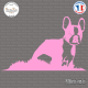 Sticker Boston Terrier Sticks-em.fr Couleurs au choix