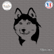 Sticker Tête de Husky Sticks-em.fr Couleurs au choix